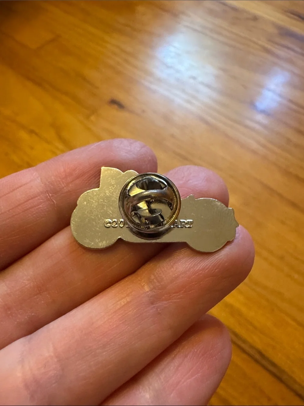 Motorcycle Pins